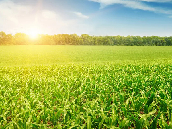 ũ�������