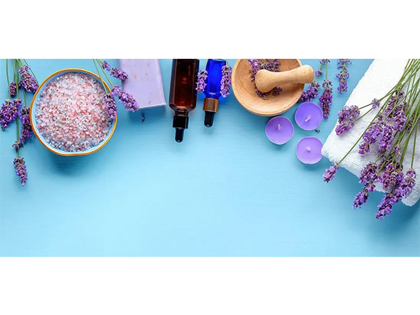 �칹ʮ������Ϊ��Ч�㾫���ܼ�������